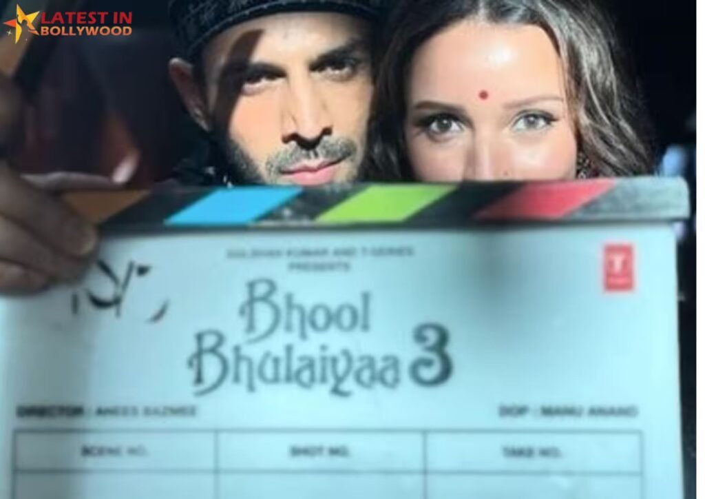 Bhool Bhulaiyaa 3: Upcoming Bollywood Movie